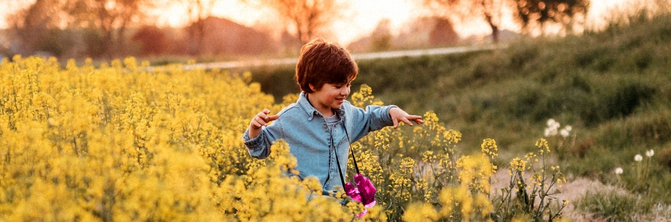 child-in-yellow-grass